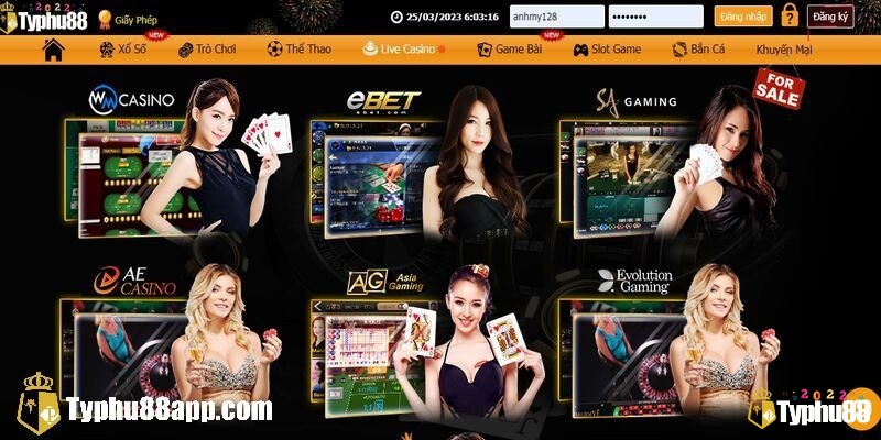 Chơi Baccarat tại typhu88 uy tín