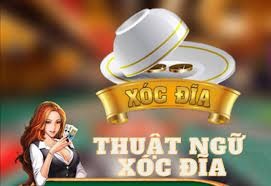 Thuật ngữ xóc đĩa, cách chơi, bí quyết chơi xóc đĩa hay nhất