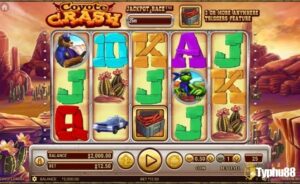 Coyote Crash slot: Khám phá sa mạc Naveda, thưởng x5000