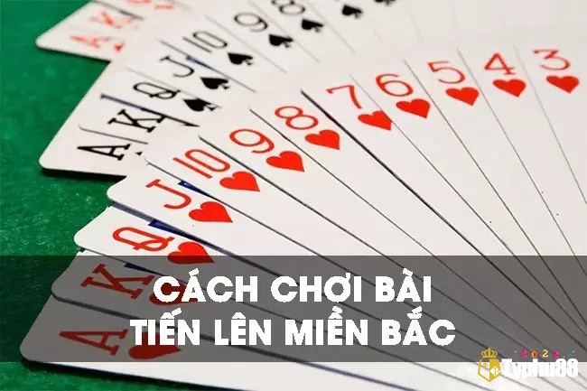 Hướng dẫn cách chơi bài tiến lên miền bắc tại Typhu88