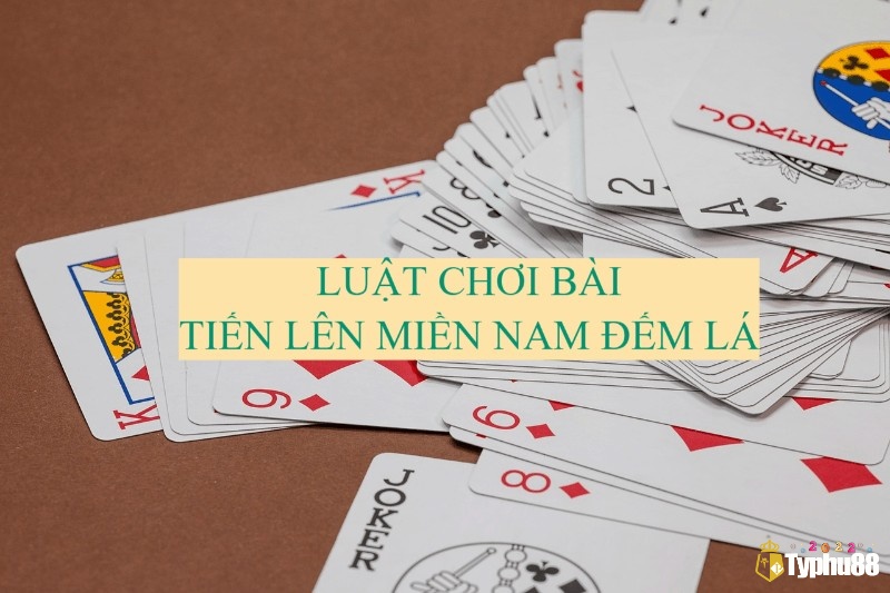 Kinh nghiệm chơi tiến lên đếm lá cần nắm rõ luật chơi