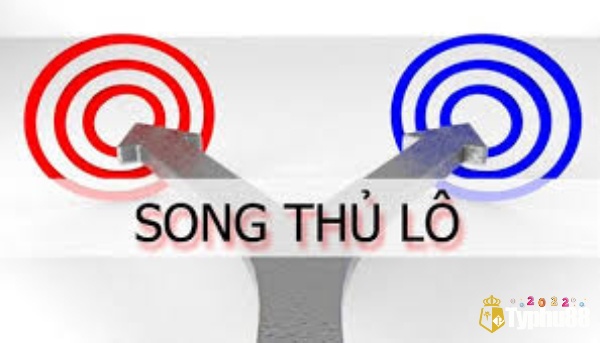 Tìm hiểu thông tin cách đánh song thủ lô