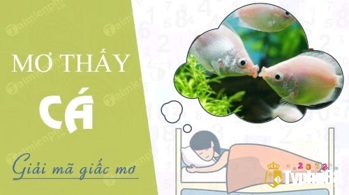 Cùng typhu88 tìm hiểu mơ thấy cá đánh lô đề con gì nhé 