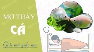 Mơ thấy cá đánh lô đề con gì mang lại tài lộc và thành công?