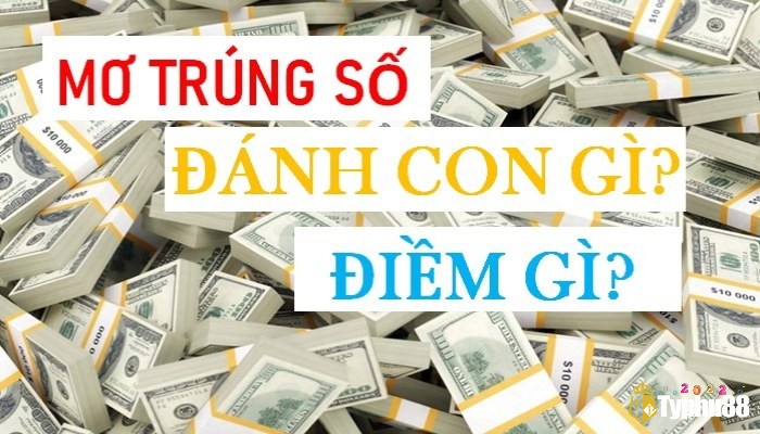 Mơ thấy trúng lô là điềm báo tốt hay xấu? mơ trúng lô đánh con gì?