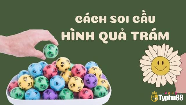 Nắm thông tin về cách đánh lô hình quả trám đề để áp dụng hiệu quả