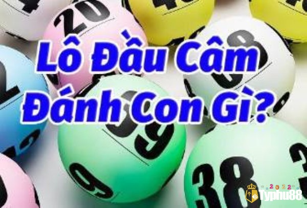 Cách đánh lô đầu câm như thế nào?