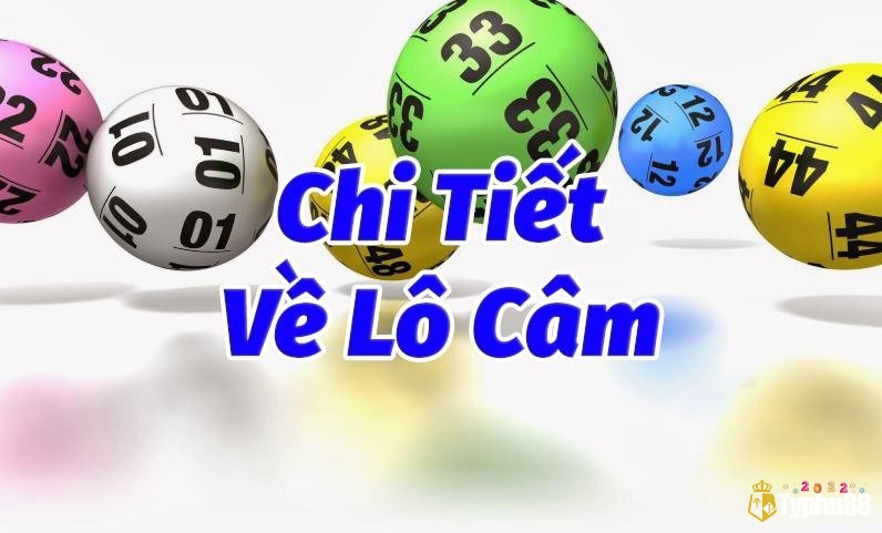 Cách đánh lô đầu câm hiệu quả nhất